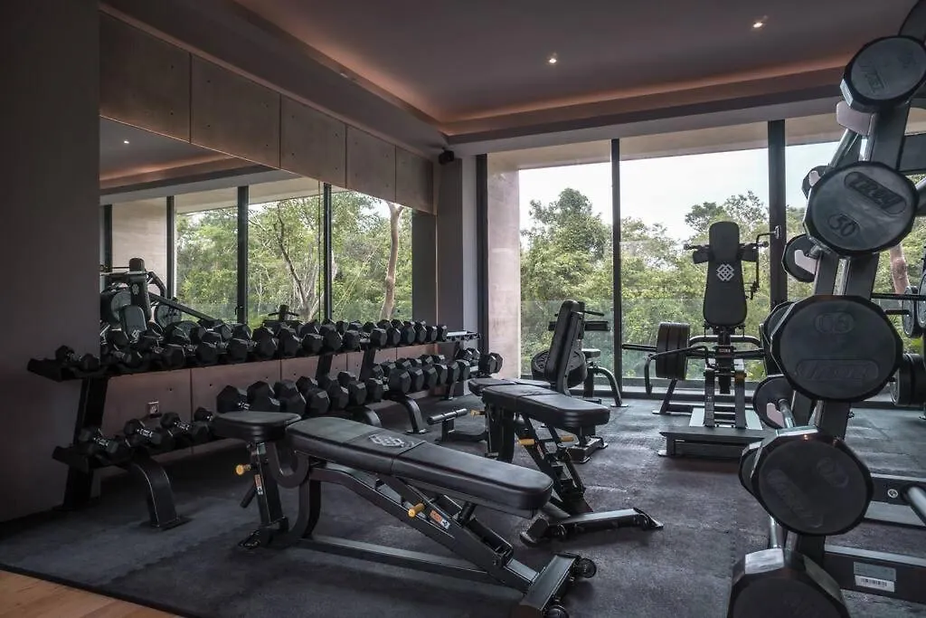 Suite De Lujo, Alberca, Gym, Jacuzzi En Areas Comunes Tulum