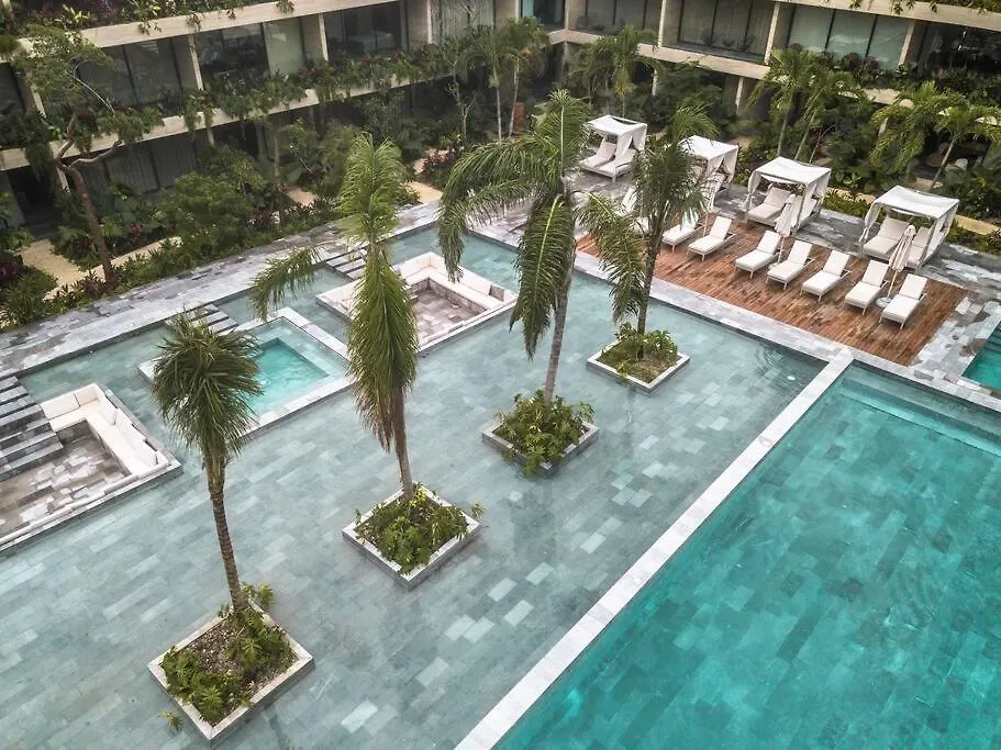 Suite De Lujo, Alberca, Gym, Jacuzzi En Areas Comunes Tulum