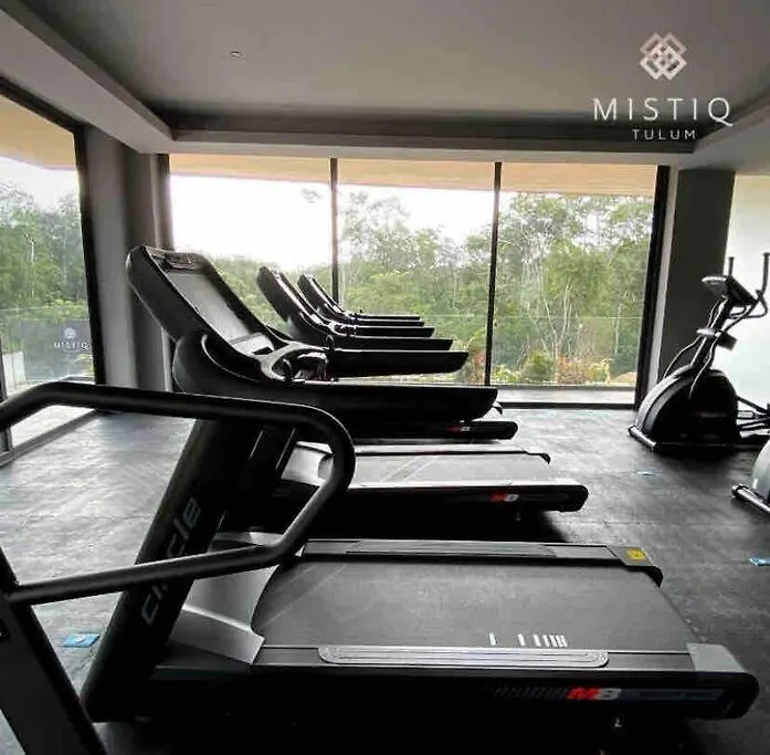 Apartment Suite De Lujo, Alberca, Gym, Jacuzzi En Areas Comunes Tulum Mexico