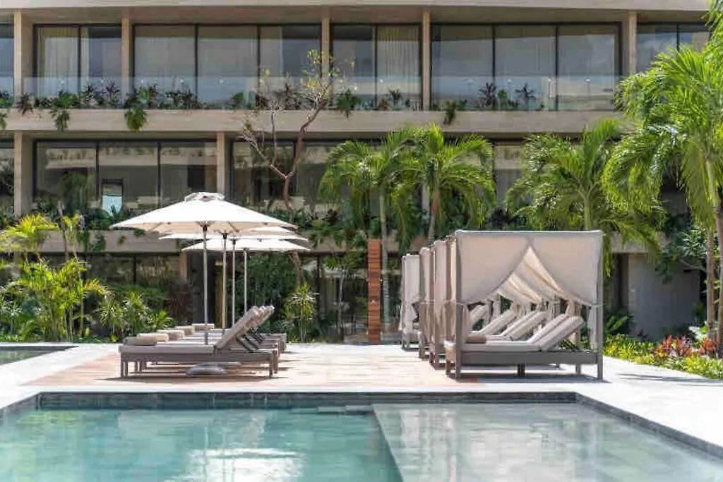 Suite De Lujo, Alberca, Gym, Jacuzzi En Areas Comunes Tulum Apartment